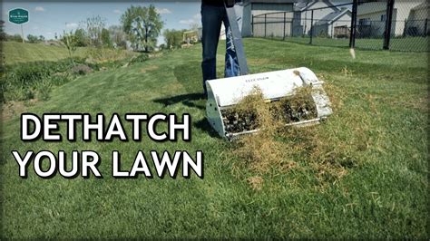 How To DETHATCH And FIX Your LAWN - YouTube