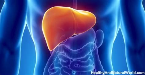 Where Is Your Liver Located And What Causes Liver Pain