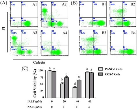 Determination of cell viability by Calcein/PI staining and Flow ...