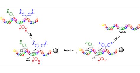 Solid-Phase Peptide Synthesis Using a Four-Dimensional (Safety-Catch ...