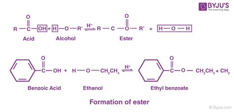 Ester - Definition, Structure, Esterification along with Properties & Uses