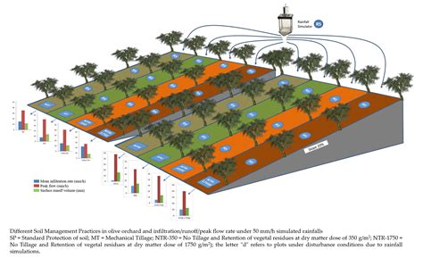 Water Infiltration In Soil