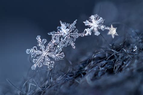 Macro, Snowflakes, HD Wallpaper | Rare Gallery