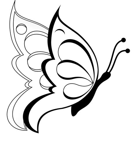 Simple Butterfly Drawing at GetDrawings | Free download