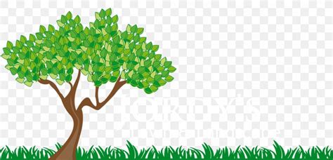 Animation Tree Branch Trunk Clip Art, PNG, 1100x530px, Animation, Art, Biome, Branch, Drawing ...