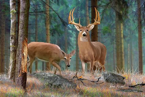 Whitetail Deer Art Print - Forest Deer Painting by Dale Kunkel Art - Fine Art America