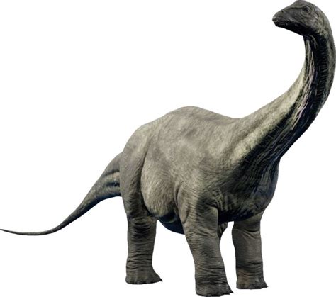 Apatosaurus | Jurassic world dinosaurs, Dinosaur, Jurassic park world