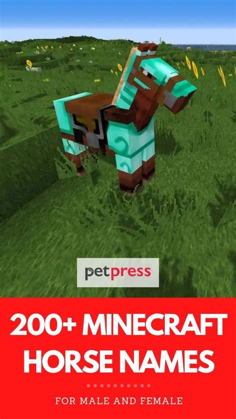 200+ Best Minecraft Horse Names (Funny, Cool, Unique Names)