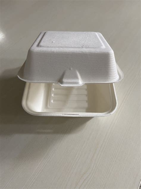 Biodegradable Box Eco Friendly at Rs 6/piece | Biodegradable Plastic ...