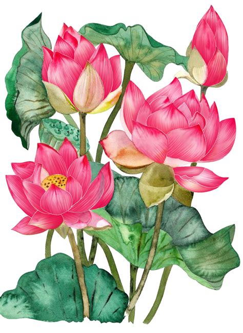 Pin by Saniam Handa on Allover | Flower art, Flower drawing, Digital flowers