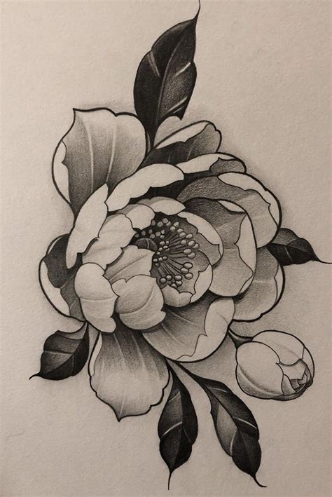 peony tattoo designs sketches - Encourage Column Photos