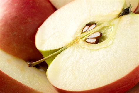 Are Apple Seeds Poisonous?