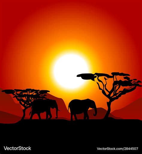 Silhouettes of elephants on African sunset Vector Image