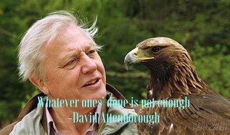 Pin by Louise Shirley on Random lovely things | David attenborough, Documentaries, David ...