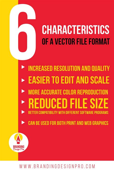 Vector vs Raster Graphics: Difference in Image File Formats