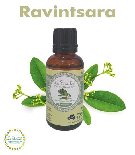 Ravintsara Essential Oil - Le Shallon Pure and Natural Care