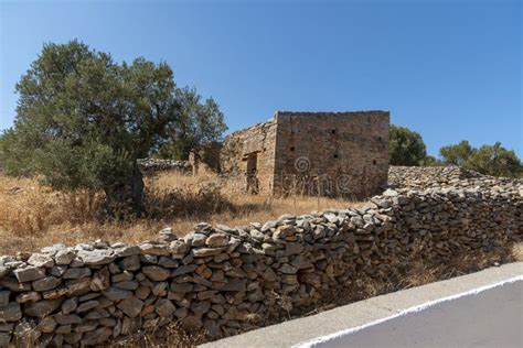 Olive Tree in a Walled Garden. Crete, Greece Stock Image - Image of ...