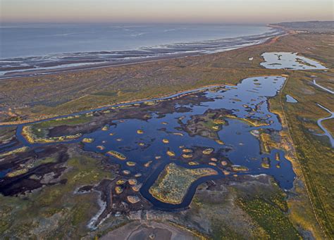 A bird's eye view of Rye Harbour nature reserve | Sussex Wildlife Trust