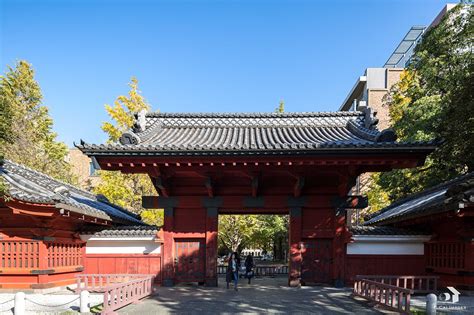 The University Of Tokyo / 是的，東京大学|Photography|Environment/Architecture ...