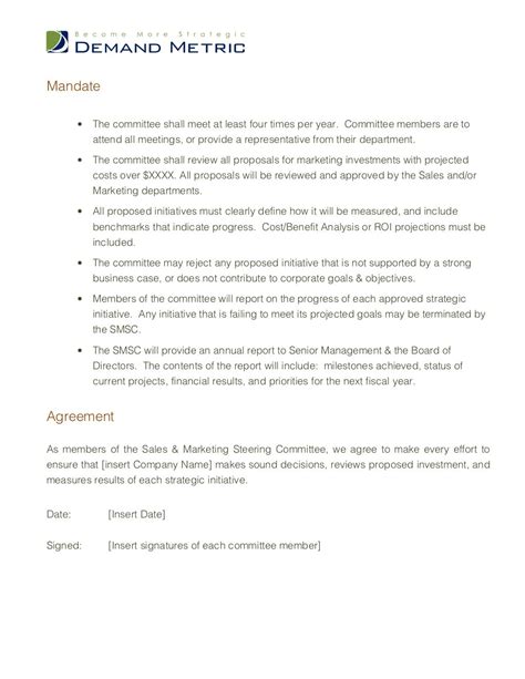 Steering Committee Charter Template