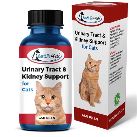Cat UTI Urinary Tract Infection & Kidney Support Treatment - all Natural Feline Medicine ...