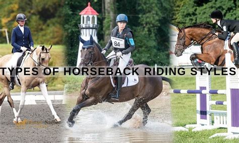 Types of Horseback Riding Styles You Should Know About | Horse Saddle Shop