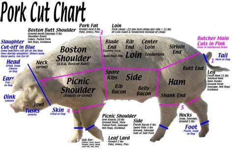 Picture | Pork cuts chart, Pork, Pastured pork