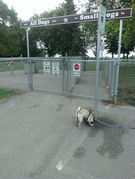 Outagamie County Dog Park - Top Dog Parks