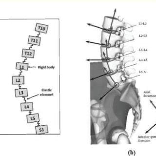 (PDF) Spine Biomechanics: A Review of Current Approaches