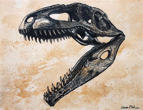 Giganotosaurus Skull