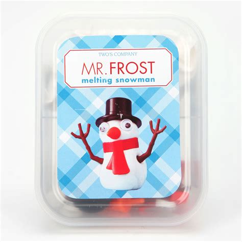 Mr. Frost - Melting Snowman Kit | The Green Head