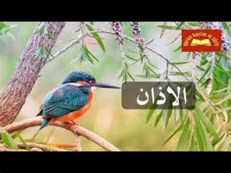 الاذان الله أكبر الله أكبر - YouTube