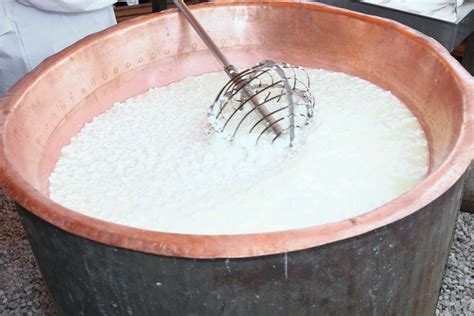 Milk Boil Temperature - Here's Everything You Need To Know - Foodiosity