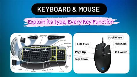 Computer Keyboard and mouse | Function of each button | Type of keyboard and mouse | Full ...