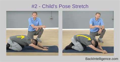 3 Erector Spinae Stretches - Back Intelligence