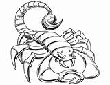 Scorpion Coloring Page  Free Printable Pages For Kids sketch template