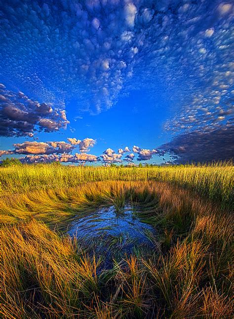 The Frog Pond Photograph by Phil Koch - Fine Art America