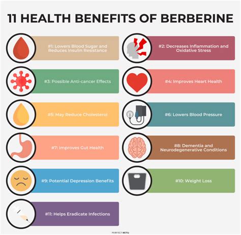 Berberine Benefits: 11 Remarkable Health Benefits of This Supplement