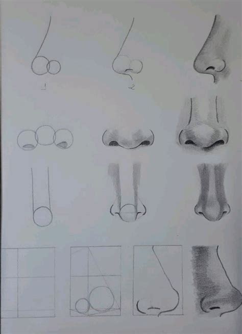 Nose shading step by step process | Portraiture drawing, Drawing ...