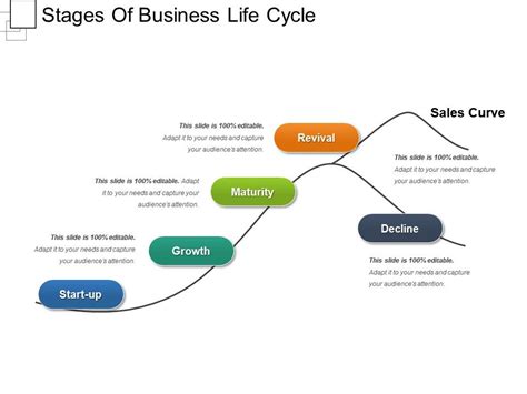 Stages Of Business Life Cycle Powerpoint Slide Show | Presentation ...