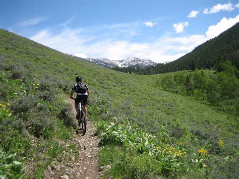 Jackson Hole Wyoming Mountain Biking