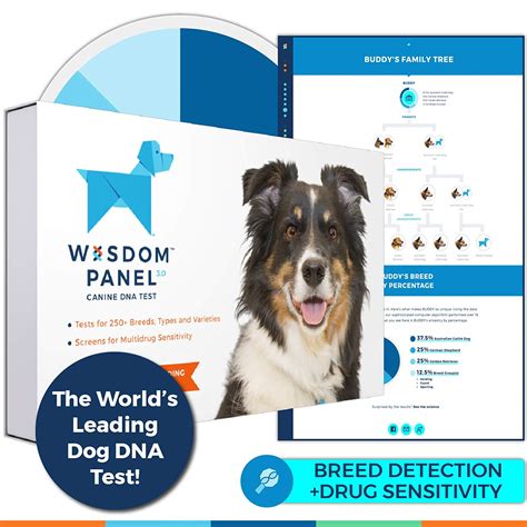 Wisdom Panel 3.0 Canine DNA Test - Dog DNA Test Kit for Breed and Ancestry Information - Pet ...