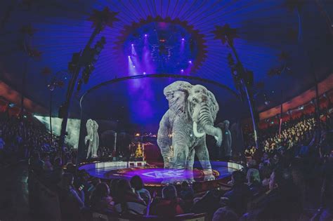 Big Top without animals: how circuses are championing animal rights - The Vegan Review