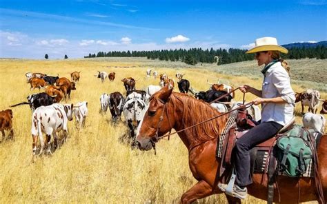 10 Awesome Adventures You Can Only Have in Montana | Ranch vacations, Cattle drive, Montana