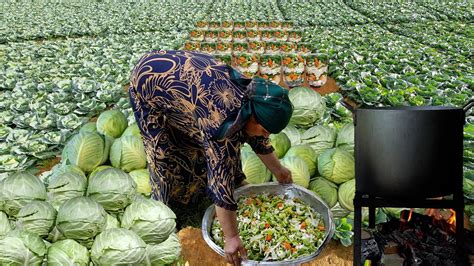 Vegetable Garden - Cabbage Harvest and Preserving for Winter - Green Garden