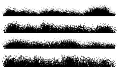 grass black and white 7789552 Vector Art at Vecteezy