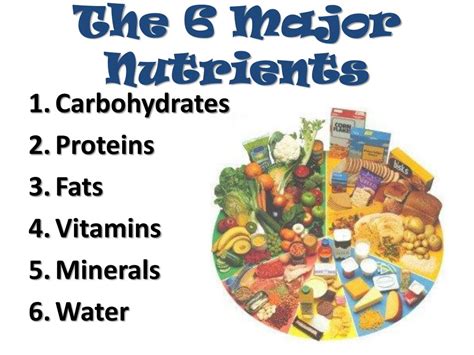 6 Types Of Nutrients