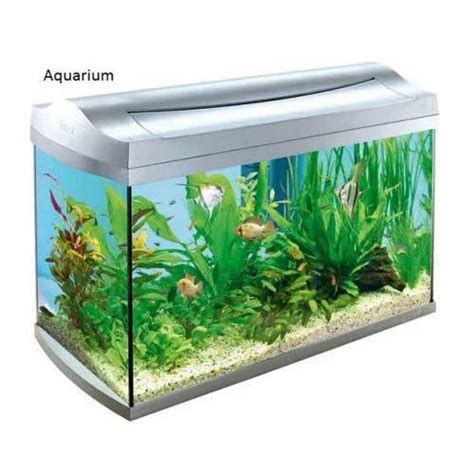 Aquarium Distilled Water at best price in Hupari by Star Industries | ID: 3693915733