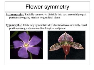 Flower structure and pollination mechanisms | PPT