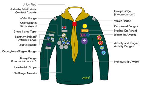 Scout Badges | 4th Gillingham Sea Scouts